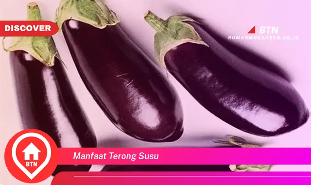 manfaat terong susu