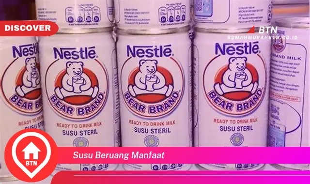 susu beruang manfaat