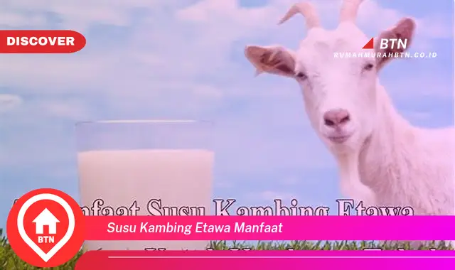 susu kambing etawa manfaat