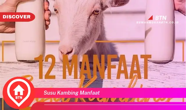 susu kambing manfaat