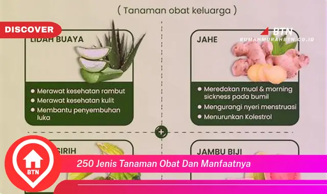 250 jenis tanaman obat dan manfaatnya