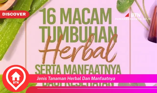 jenis tanaman herbal dan manfaatnya