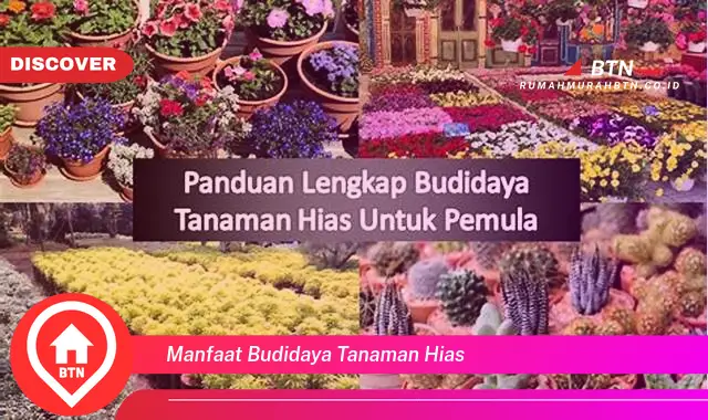 manfaat budidaya tanaman hias