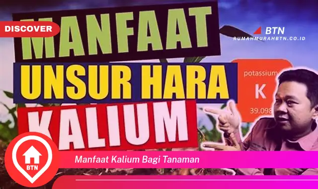 manfaat kalium bagi tanaman