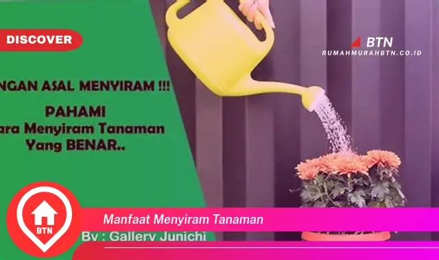 manfaat menyiram tanaman