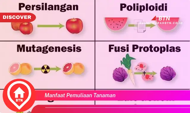 manfaat pemuliaan tanaman