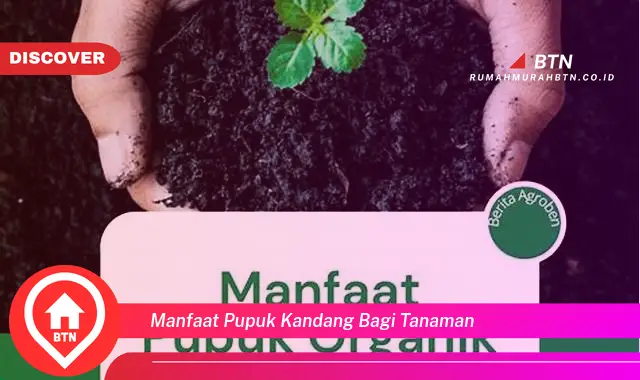 manfaat pupuk kandang bagi tanaman