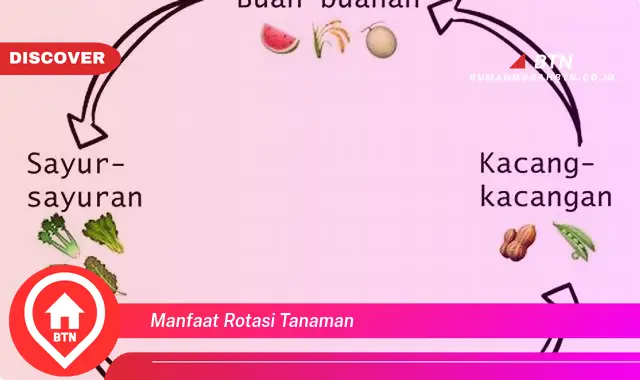 manfaat rotasi tanaman