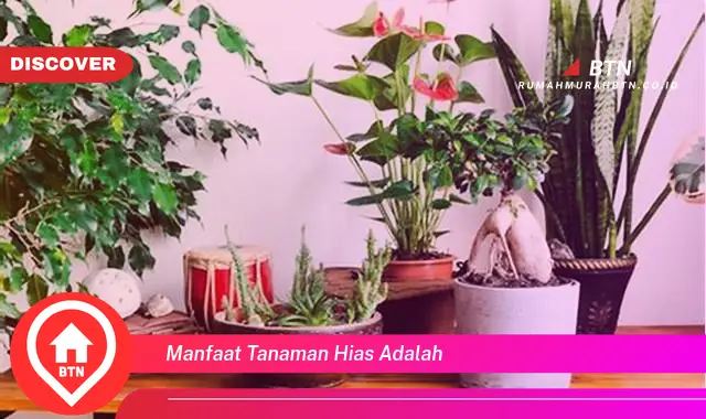 manfaat tanaman hias adalah