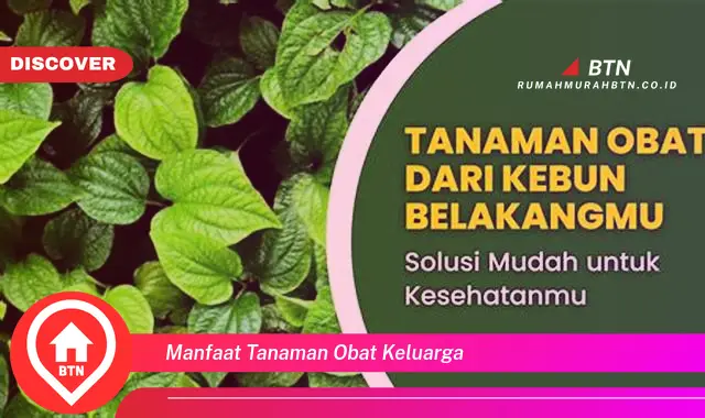 manfaat tanaman obat keluarga