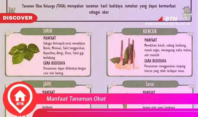 manfaat tanaman obat