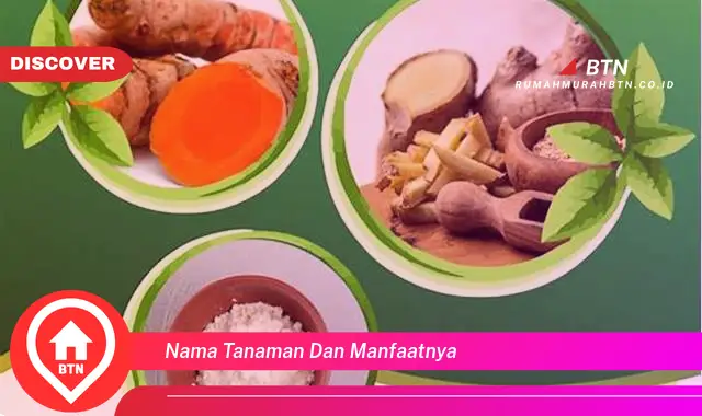 nama tanaman dan manfaatnya