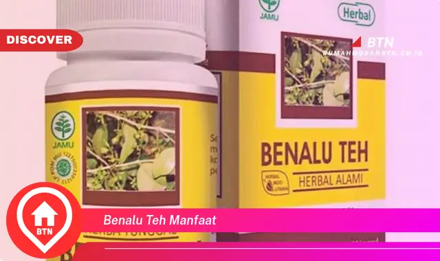 benalu teh manfaat