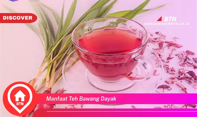 manfaat teh bawang dayak