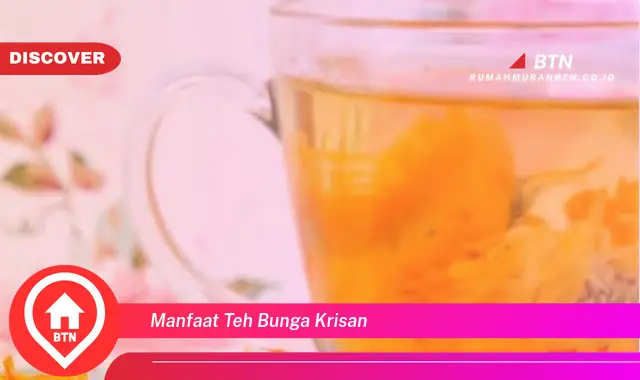 manfaat teh bunga krisan