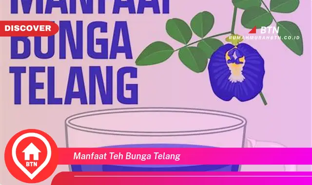 manfaat teh bunga telang