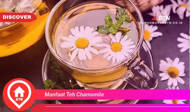 manfaat teh chamomile