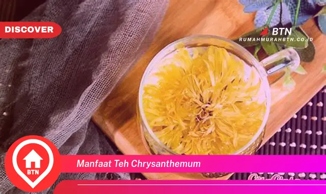 manfaat teh chrysanthemum