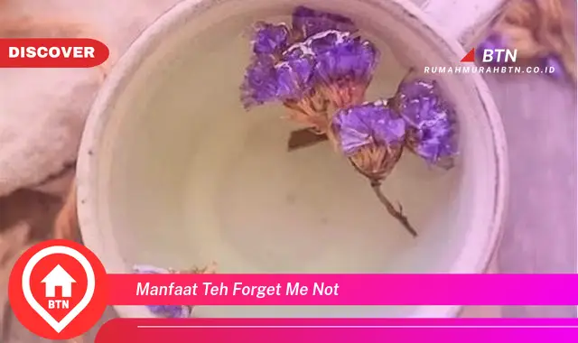 manfaat teh forget me not