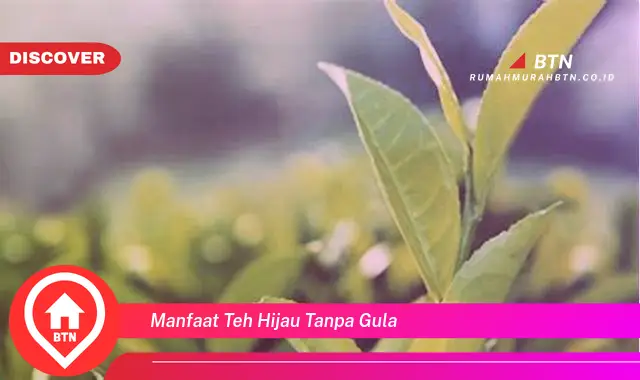 manfaat teh hijau tanpa gula