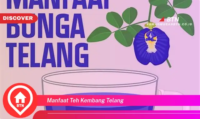 manfaat teh kembang telang