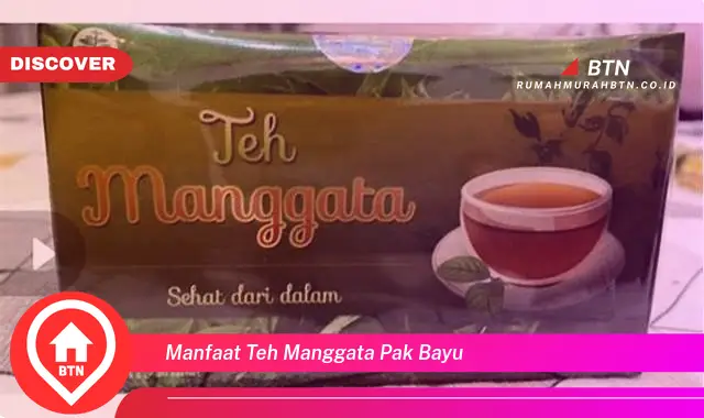 manfaat teh manggata pak bayu