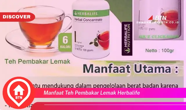 manfaat teh pembakar lemak herbalife