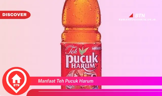 manfaat teh pucuk harum