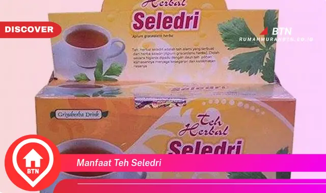 manfaat teh seledri