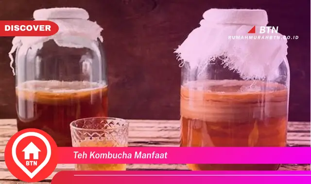 teh kombucha manfaat