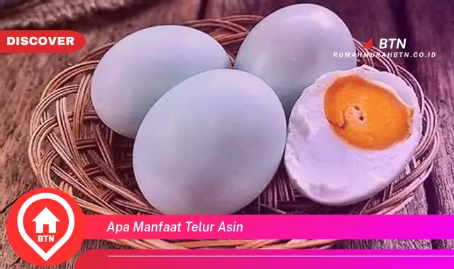 apa manfaat telur asin