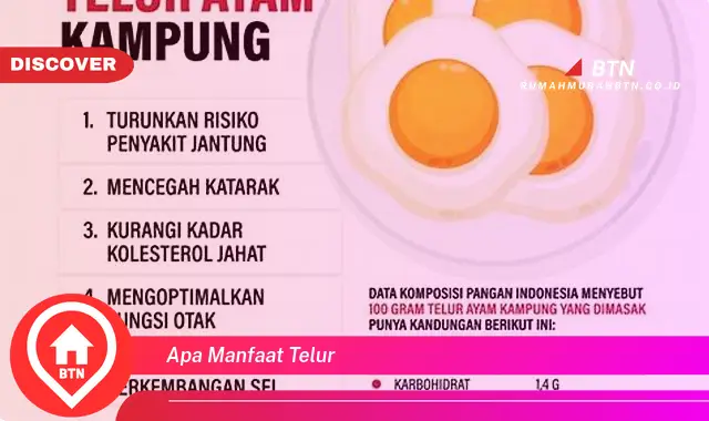 apa manfaat telur