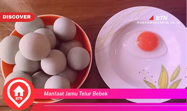 manfaat jamu telur bebek