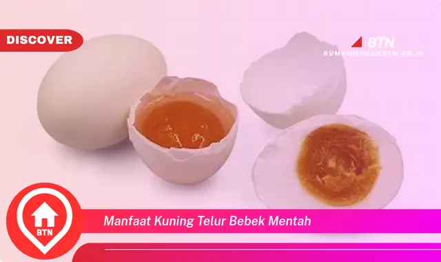 manfaat kuning telur bebek mentah