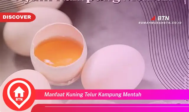 manfaat kuning telur kampung mentah