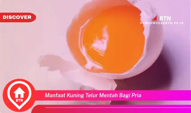 manfaat kuning telur mentah bagi pria