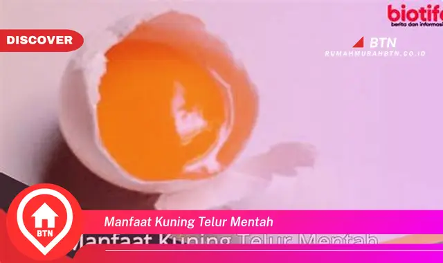 manfaat kuning telur mentah