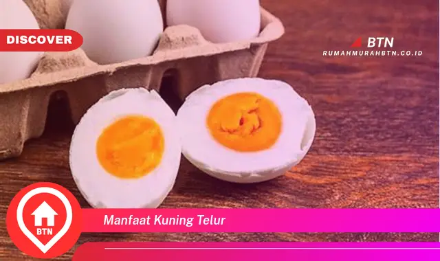 manfaat kuning telur