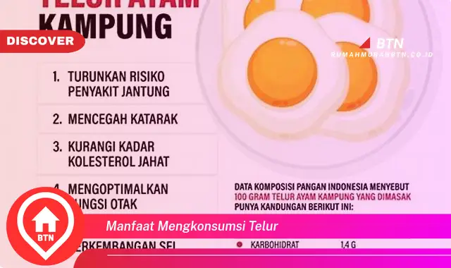 manfaat mengkonsumsi telur