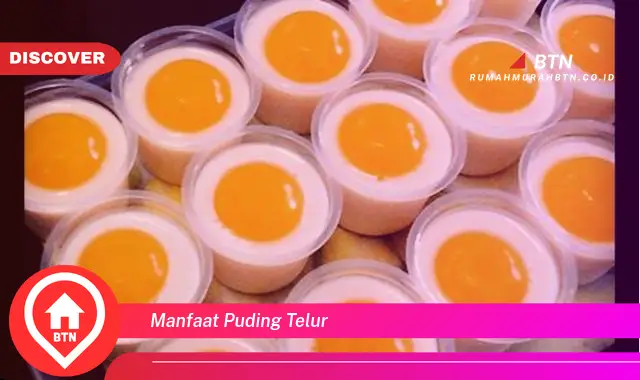 manfaat puding telur