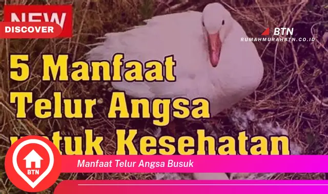 manfaat telur angsa busuk