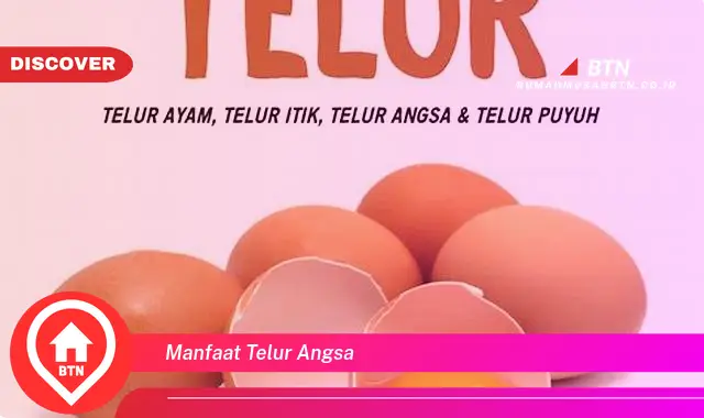 manfaat telur angsa