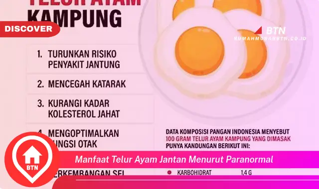 manfaat telur ayam jantan menurut paranormal