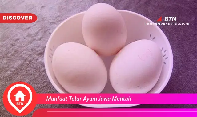 manfaat telur ayam jawa mentah