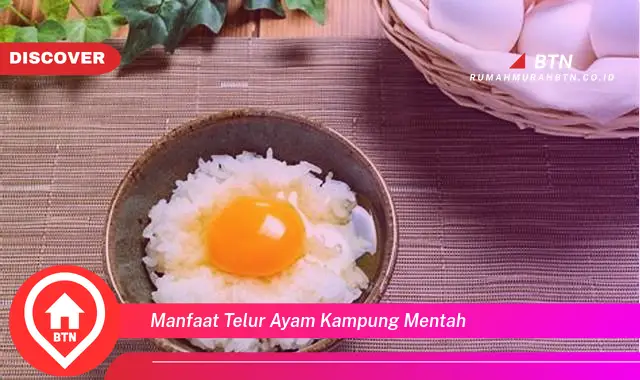 manfaat telur ayam kampung mentah