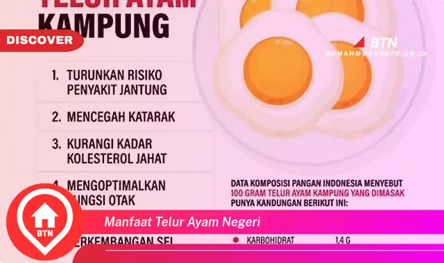 manfaat telur ayam negeri