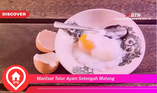 manfaat telur ayam setengah matang