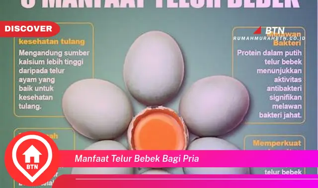 manfaat telur bebek bagi pria