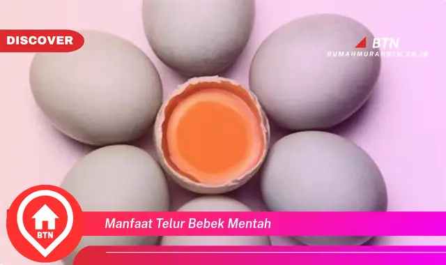 manfaat telur bebek mentah