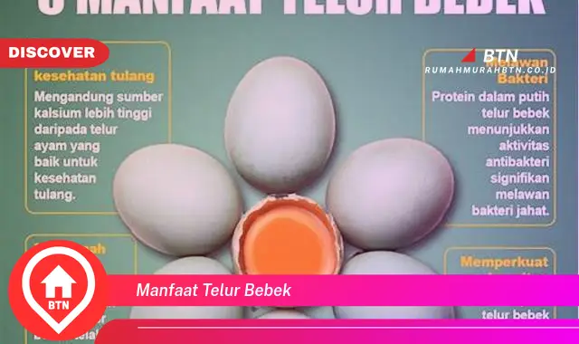 manfaat telur bebek